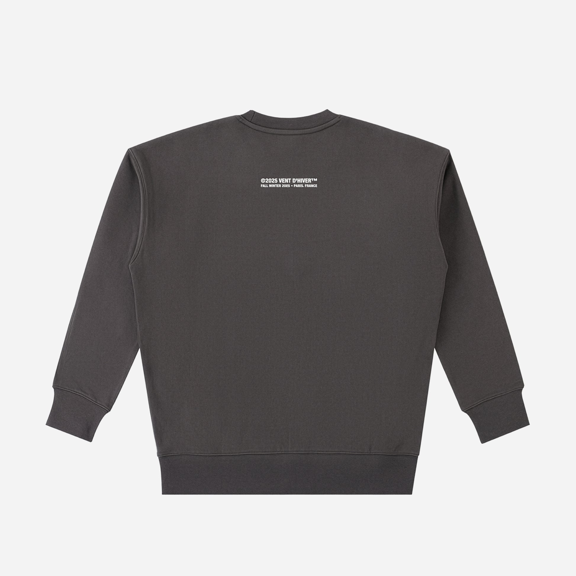Dark gray sweatshirt with a small white logo on the back against a light gray background